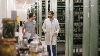 Microsoft Research está integrado por