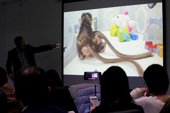 Las presentación del estudio, en