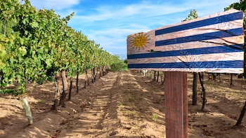 A partir de la movilización