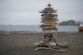 (Christian Åslund/Greenpeace)