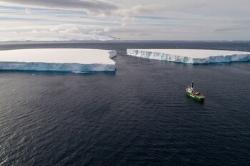 (Christian Åslund/Greenpeace)