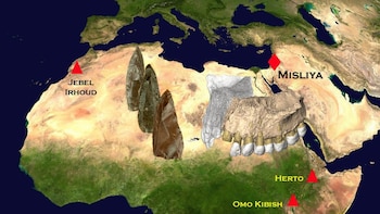 A partir de este hallazo