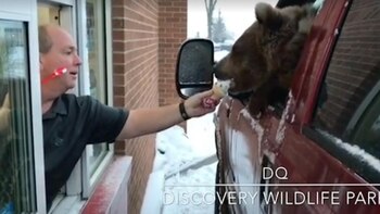 Imagen vía Discovery Wildlife Park/Facebook