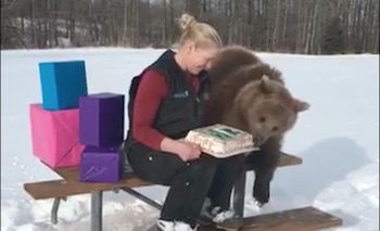 Imagen MTRZHLEVT5E35L4MGJBU225FYY