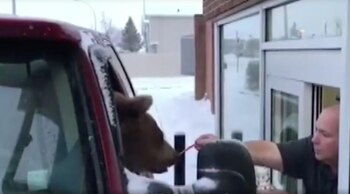 Imagen ZYYOUNIWIJBVXAPTY4UF7PBQEE