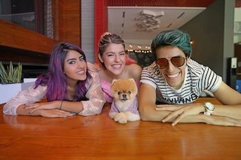 Son los hermanos más famosos