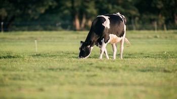 Para Córdoba, la empresa debe