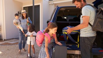 El sector educativo es el