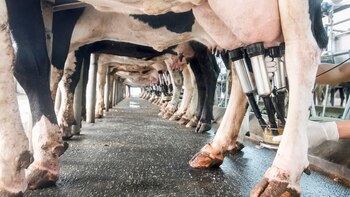 En febrero el precio por