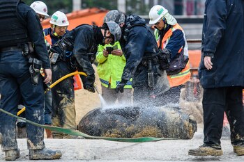 (AFP / Anthony WALLACE)