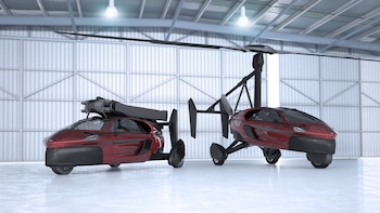 Se venden en dos versiones: