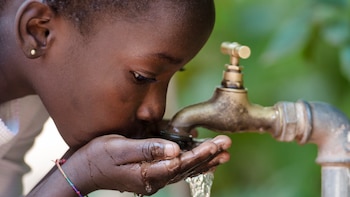 El cólera es transmitido a través de agua y alimentos contaminados por la bacteria Vibrio cholerae (Getty)