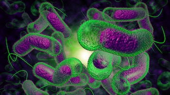 El nuevo avance de la investigación en genómica, que fue publicado en la revista Science, podría controlar mejor el cólera (Getty)