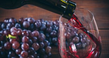 Según estudios cientificos el beber