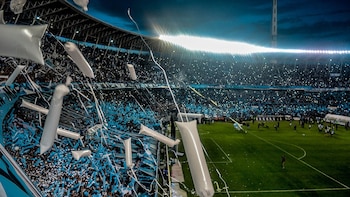 “Estas cámaras nos permiten ver