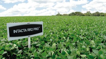 En Brasil declararon la nulidad