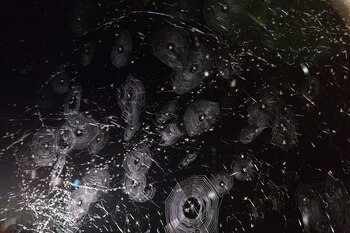 El proyecto interconecta el interés