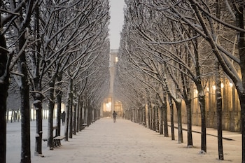 Una persona camina en los