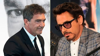 Se incorporaron a este proyecto