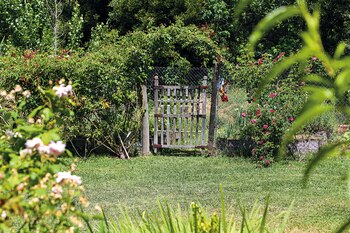 Entrada a la huerta reciclada.