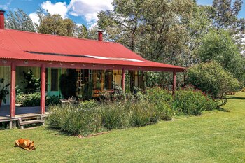 El jardín. (Foto: Facundo Basavilbaso/