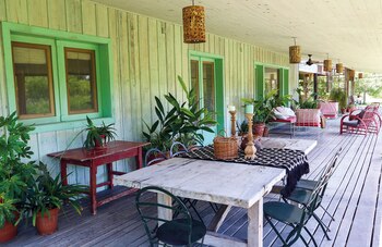 Las plantas también son protagonistas