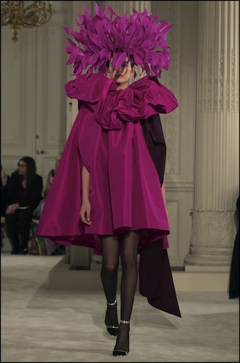 Morado, fucsia, amarillo, verde, blanco