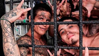 Miembros de la Mara Salvatrucha