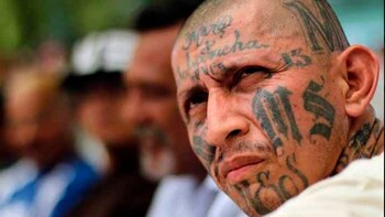 Un miembro de la MS-13(@canaltn8)
