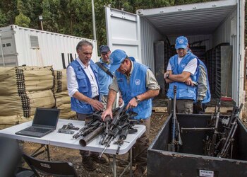 La recepción de las armas