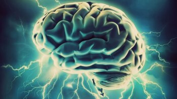 El científico Colombo y su