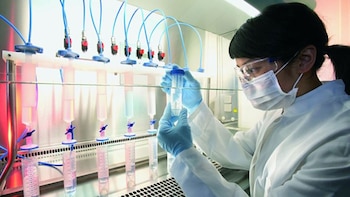 Un equipo científico británico ha