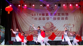 Comienza el año del Perro