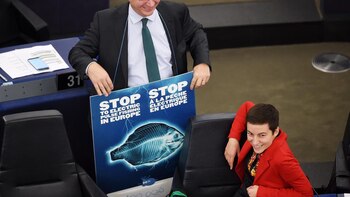 Photo by Frederick Florin /