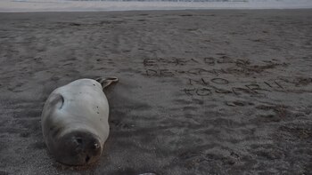 “Está descansando, no tocar!”, escribieron
