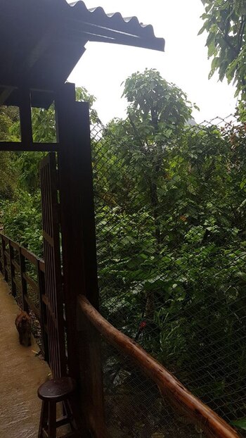 La zona por donde entraron