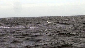 Los expertos detonaron la bomba