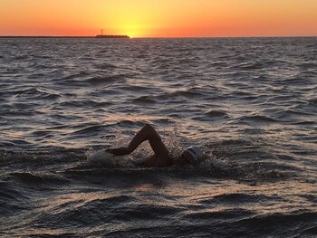 Una de las postales en