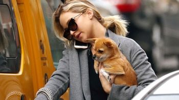 Jennifer Lawrence y su perro