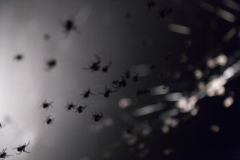 El proyecto interconecta el interés