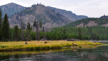 Murphy buscaba el tesoro en