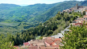 Tiene poco más de 1.300