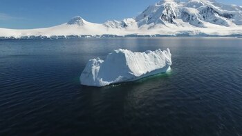 Durante el verano austral 2016/2017,