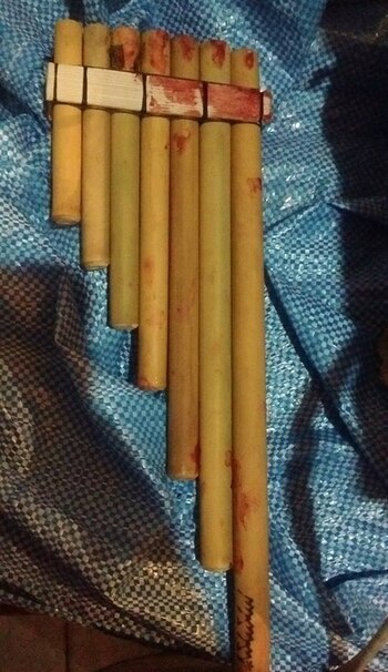 Uno de los sikus manchado