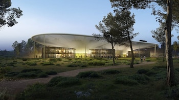 Se necesitaron diez años para