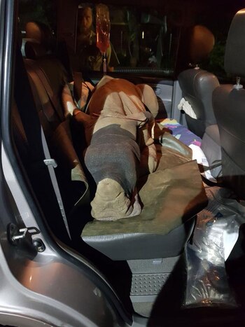 La cría pudo ser trasladada