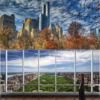 Su ubicación en el medio