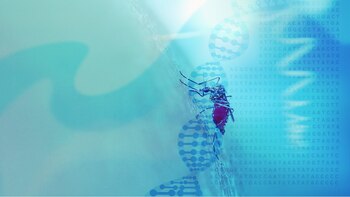 En Argentina, según los especialistas,