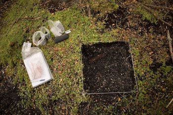 Las excavaciones terrestres permites reconstruir