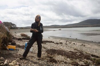 “Estamos dando materia prima para